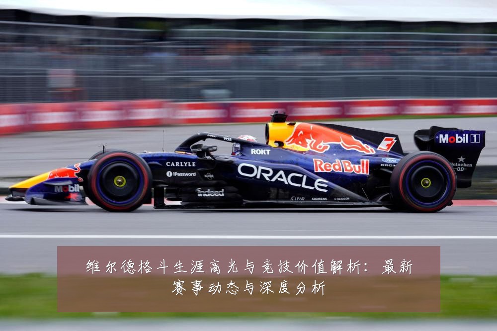 维尔德格斗生涯高光与竞技价值解析:最新赛事动态与深度分析