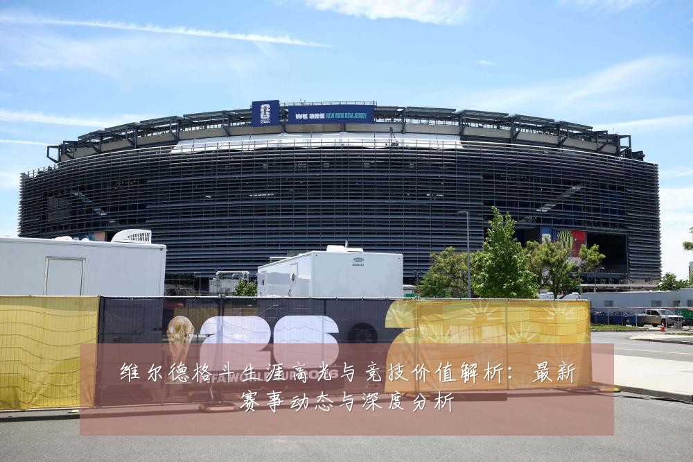 维尔德格斗生涯高光与竞技价值解析:最新赛事动态与深度分析